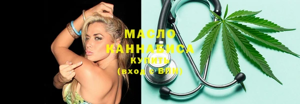 индика Нижневартовск