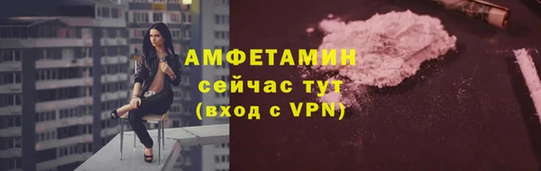 гидра Мурманск